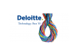 Dolphio-Technologies-Deloitte