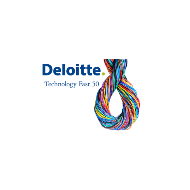 Dolphio-Technologies-Deloitte