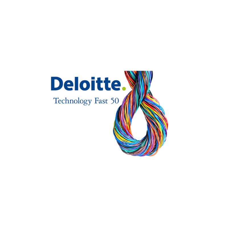 Dolphio-Technologies-Deloitte Dolphio-Technologies-Deloitte