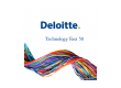 Dolphio-Technologies-Deloitte