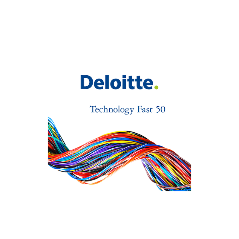Dolphio-Technologies-Deloitte