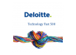 Dolphio-Technologies-Deloitte