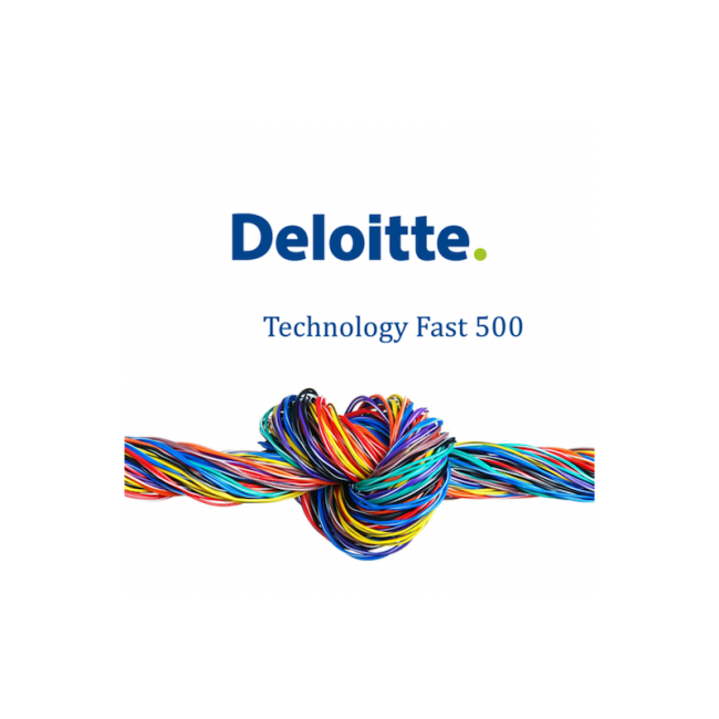 Dolphio-Technologies-Deloitte